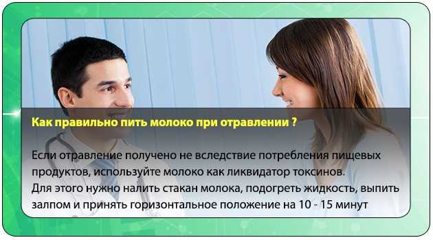 Как и чем кормить щенка чихуахуа: меню по возрастам | звери дома