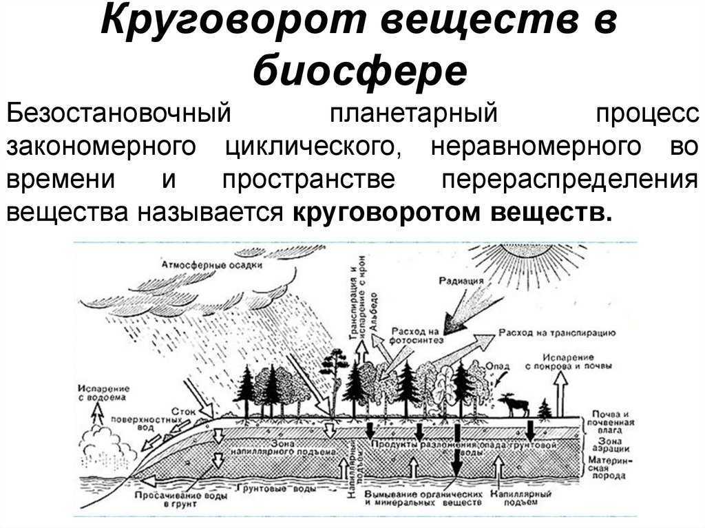 Окружающая среда. понятие о биосфере. экология. курс лекций