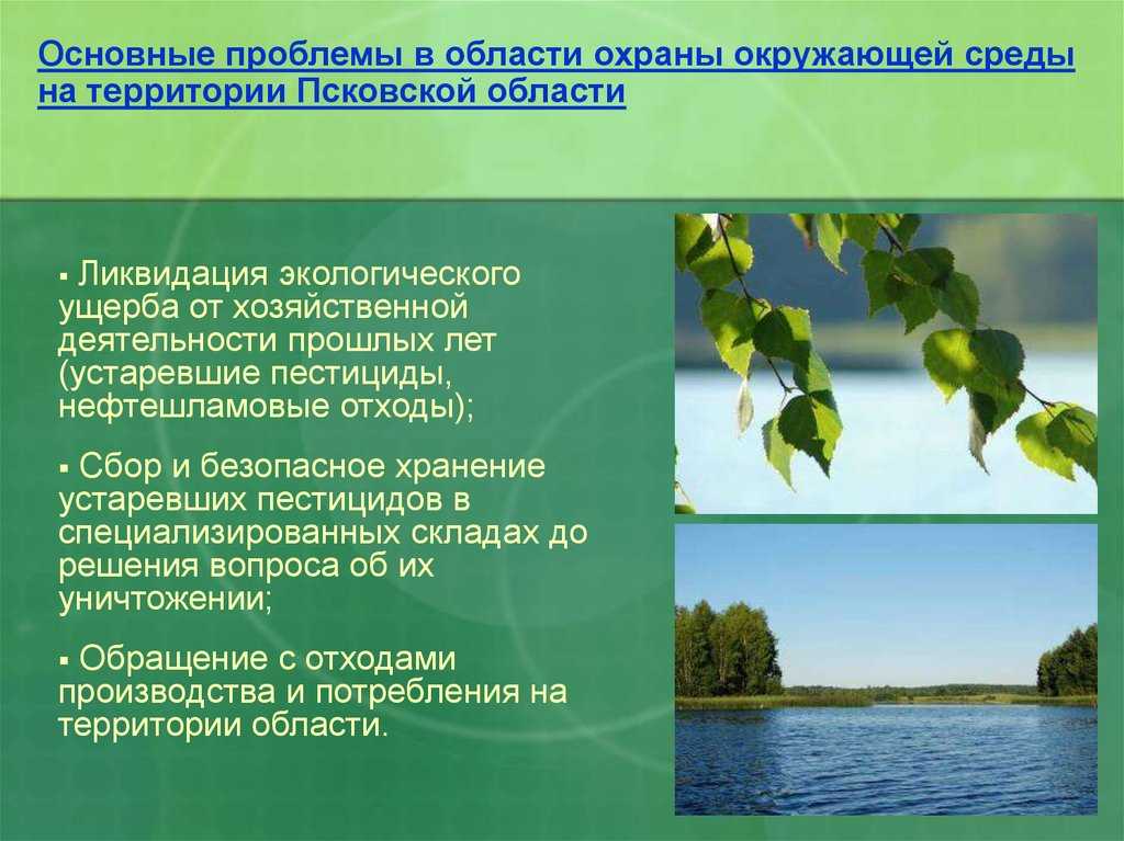 Общая экологическая обстановка края