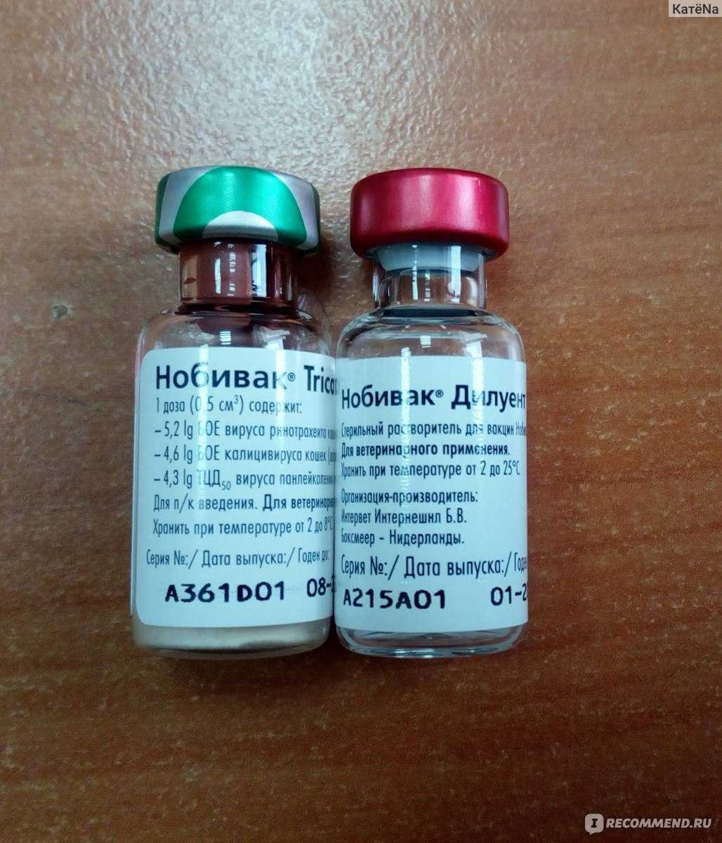 Нобивак для кошек: инструкция по применению, от чего вакцина, как действует