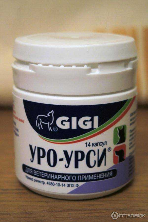 Уро-урси для кошек - инструкция по применению препарата - kotiko.ru