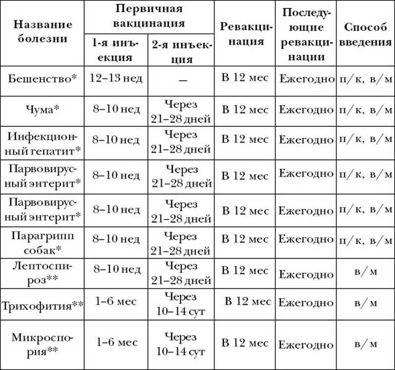 Как правильно глистогонить собаку с помощью препарата празител | нпк "скифф"