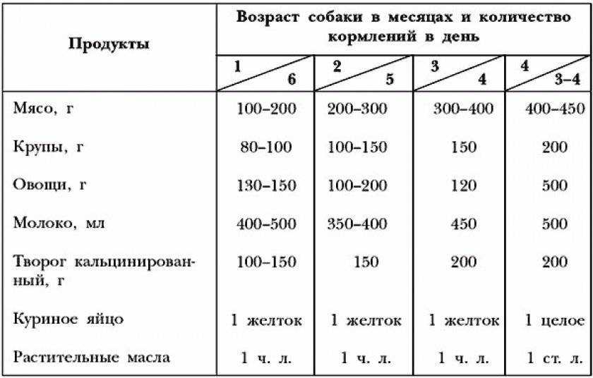 Для здоровья питомца одного мяса не достаточно Можно ли собакам творог, как часто и в каком виде давать Сколько граммов лакомства допустимо каждый день щенку и взрослой особи, возможные проблемы и основные рецепты - все это вы узнаете из статьи