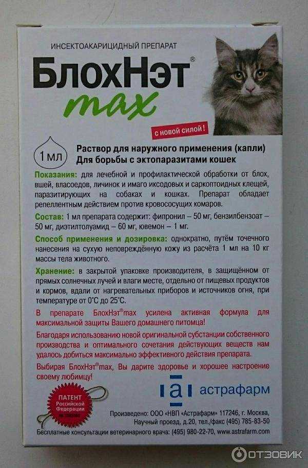 Блохнэт для кошек (капли и спрей): инструкция по применению