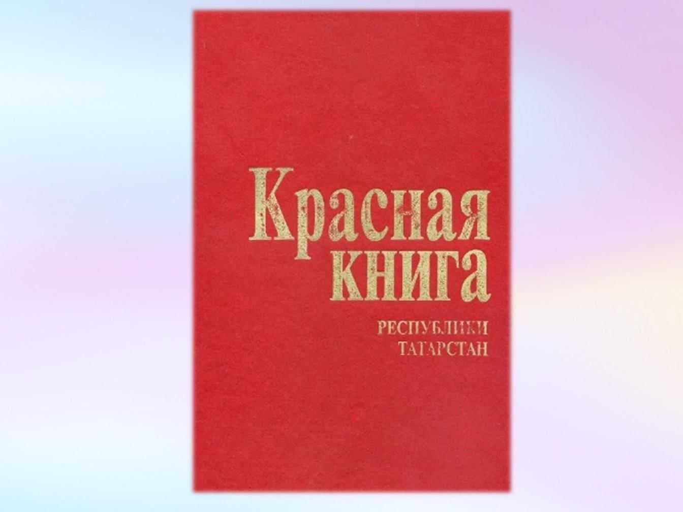 Какие хищные птицы обитают в татарстане. птицы республики татарстан