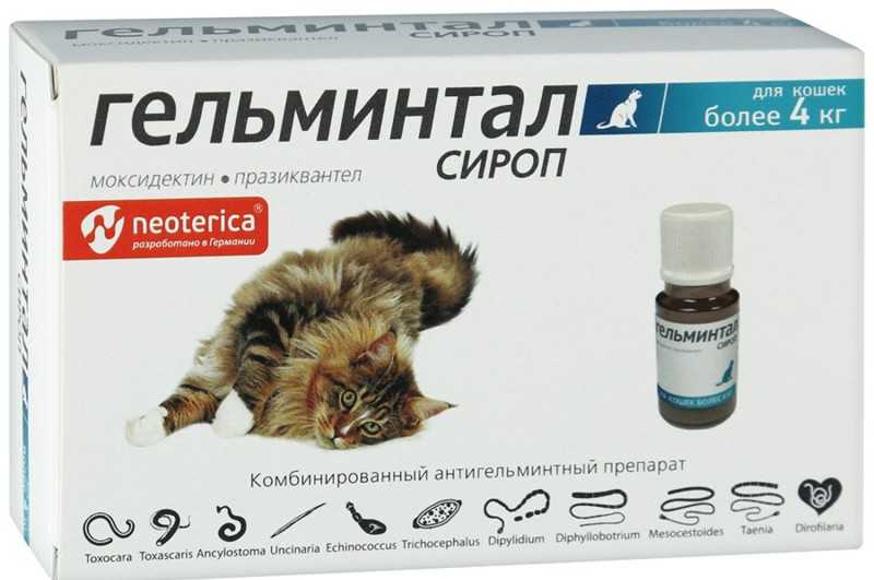🐈лучшие средства от глистов для собак: достоинства и недостатки препаратов