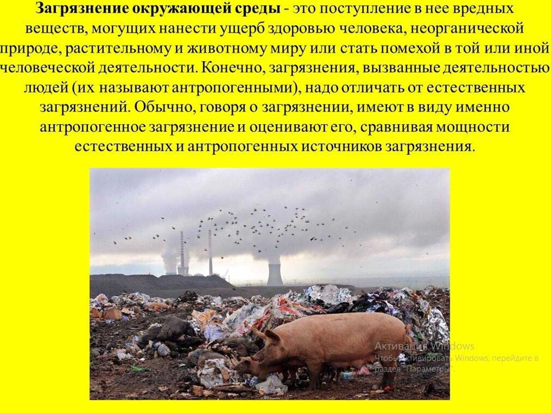 Влияние  человека на природу: положительные и отрицательные факторы