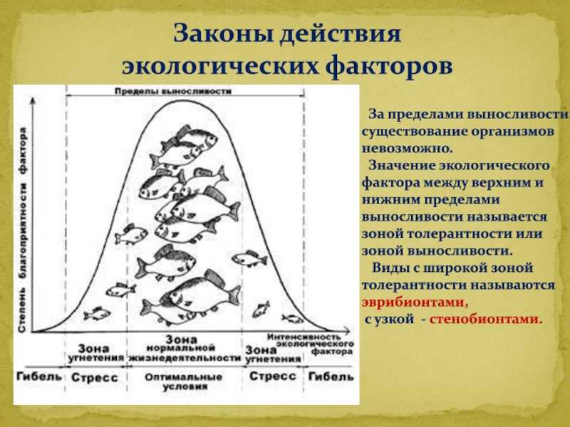 Климат. часть 2