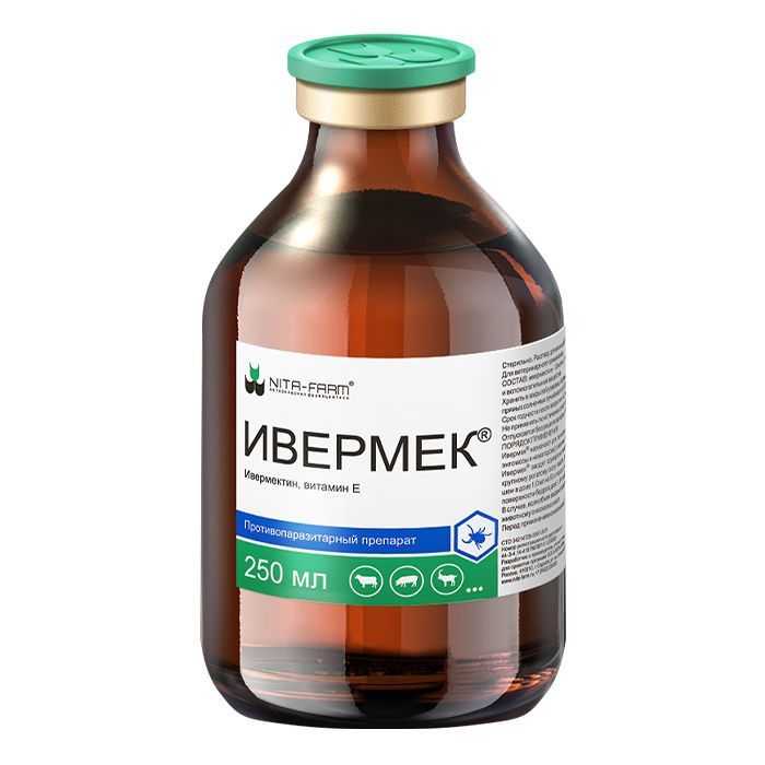 Ивермек: для чего этот препарат нужен собакам?
