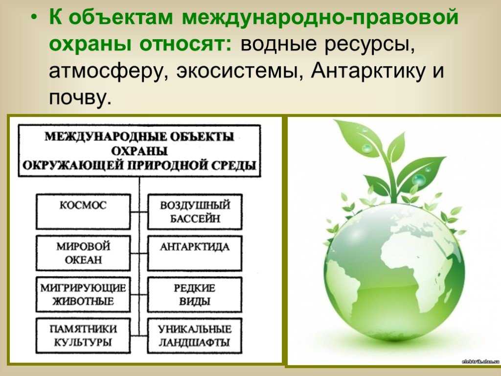 Природные ресурсы и способы их охраны