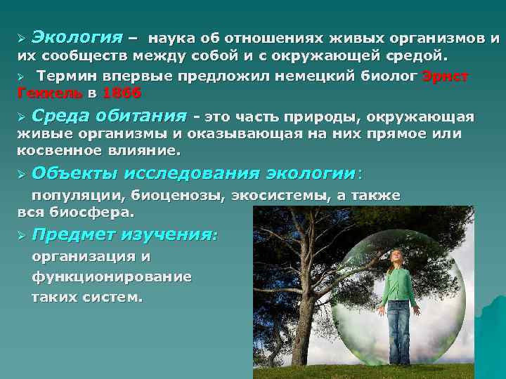 Экология: определение, история, задачи, проблемы, значение