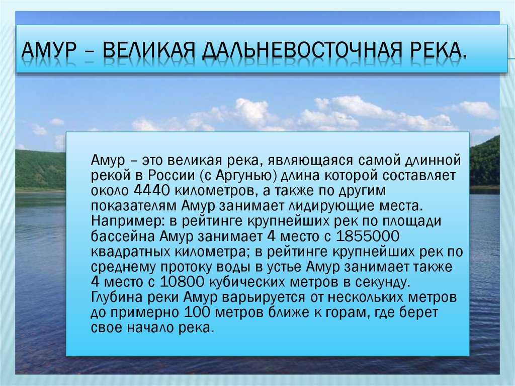Река амур - описание, общая характеристика и использование