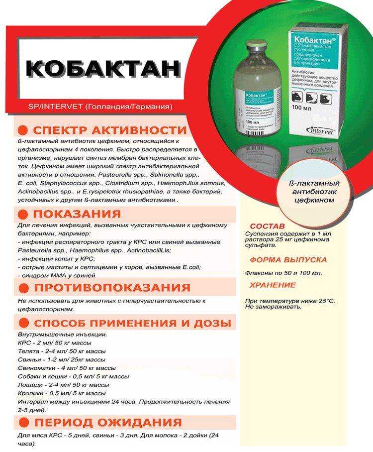 Антибиотик кобактан для собак: описание, инструкция и применение | все о собаках
