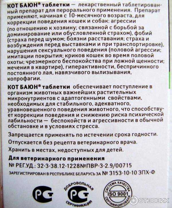 Снотворное для собак: можно ли давать, какие таблетки применяются для перевозки питомца, как действует