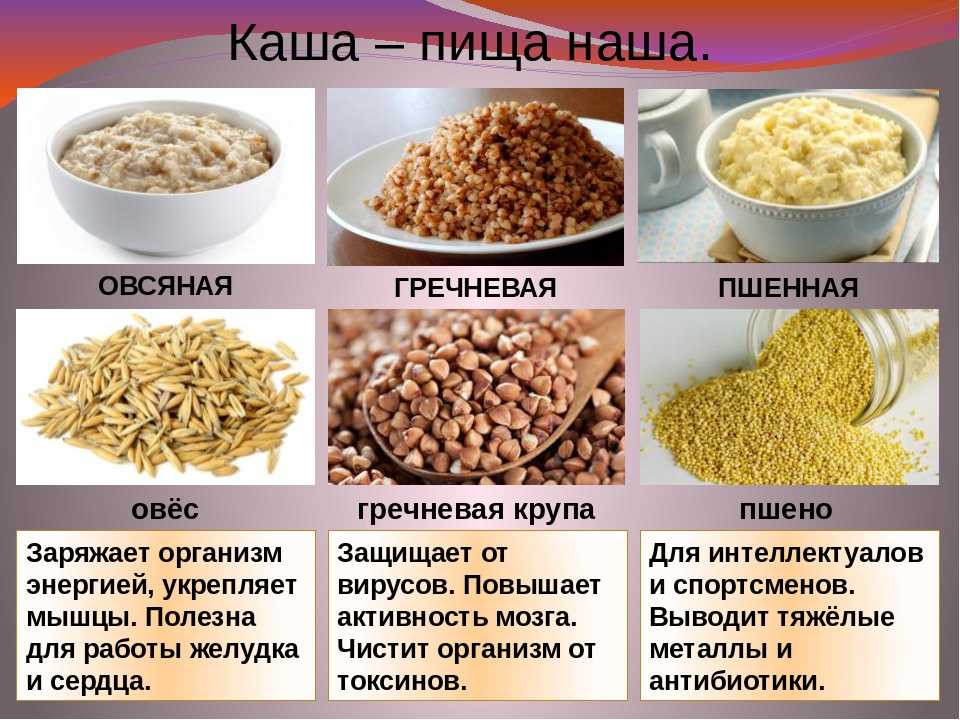 Крупы в питании собак