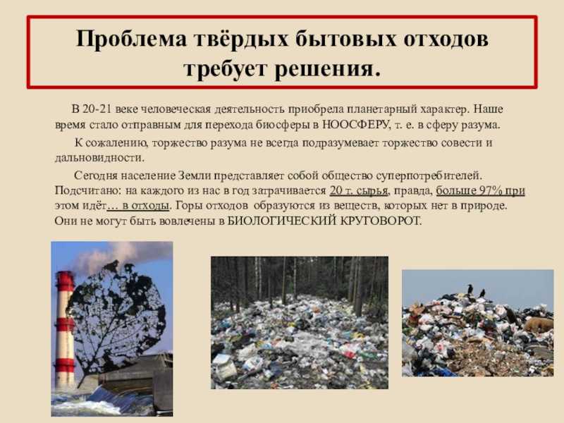 Жизнь после бака: как сейчас выглядит система утилизации отходов