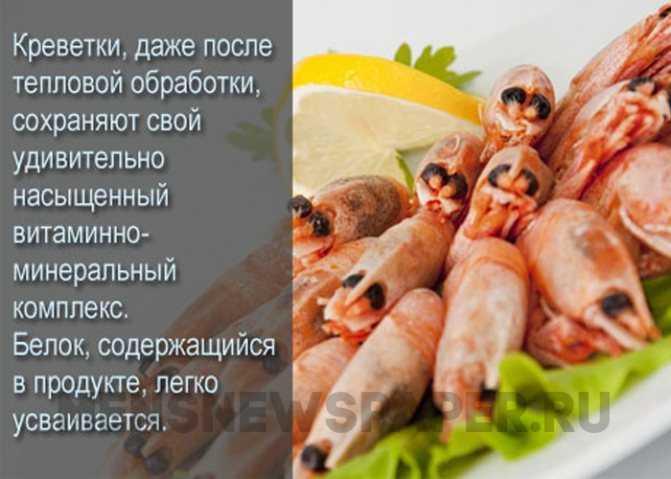Интересные факты о креветках
