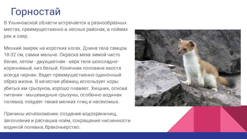 Красная книга ульяновской области  доклад, проект