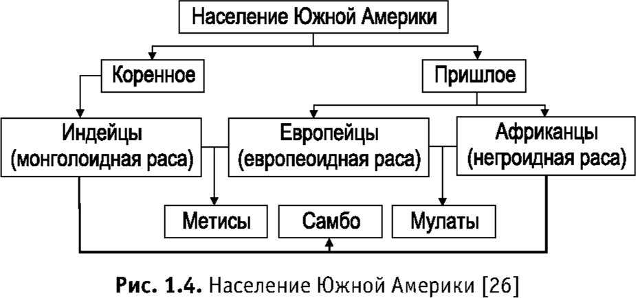 7 класс. география. материки. южная америка - население южной америки | курсотека