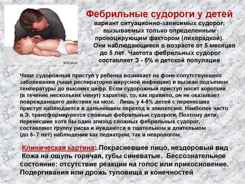 Судороги у кота: причины, перед смертью, во сне дергаются лапы