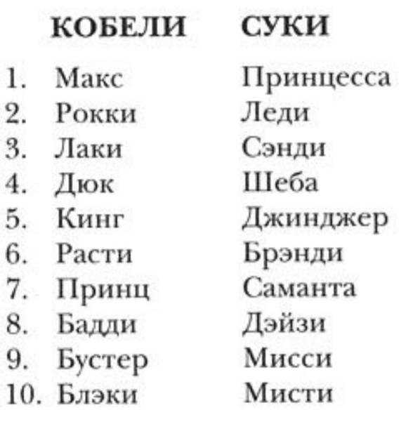Клички для собак девочек маленьких пород
