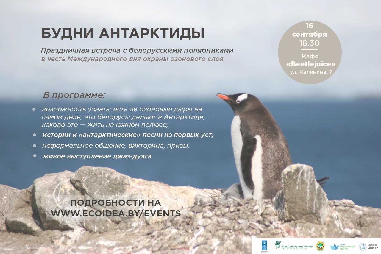 Современные исследования антарктиды, как влияет деятельность человека на экологию материка