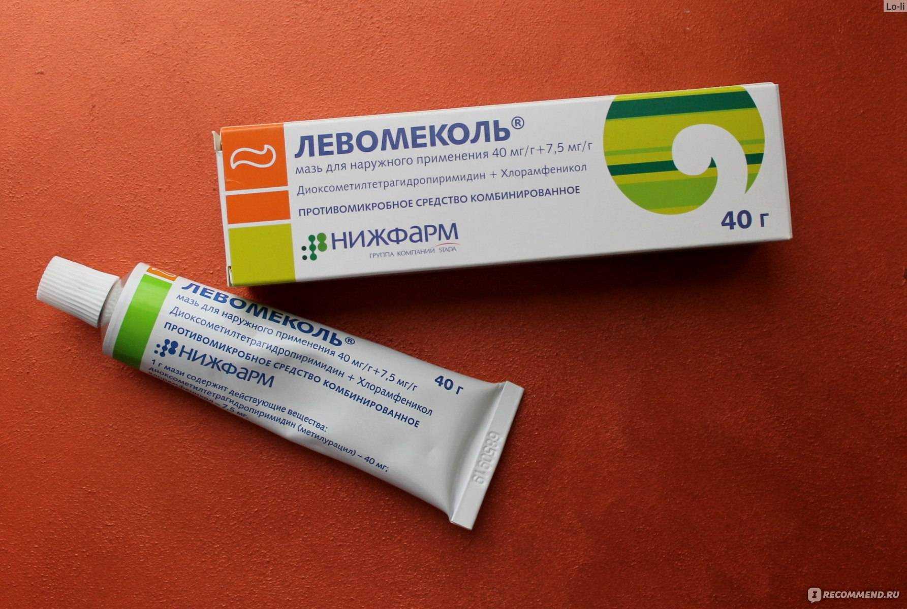 Царапины от кошки: примеры чем можно лечить и что делать в домашних условиях