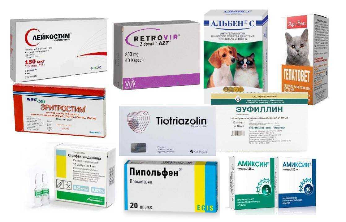 Какие обезболивающие препараты можно давать собаке?