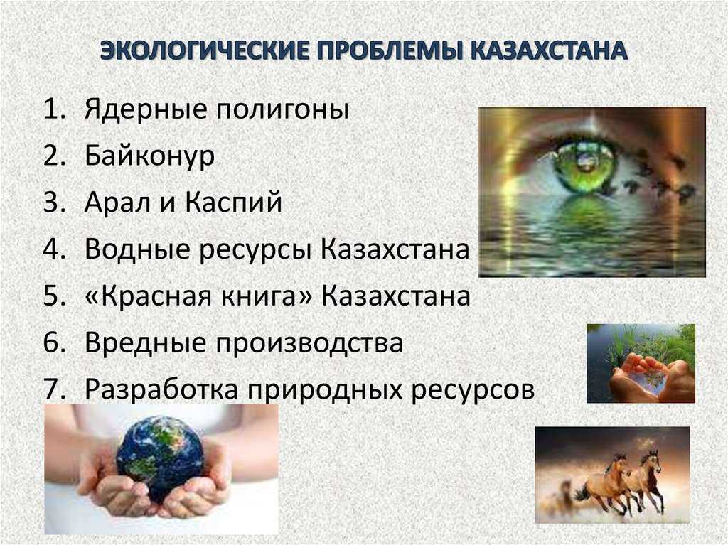 Геоэкологические проблемы беларуси