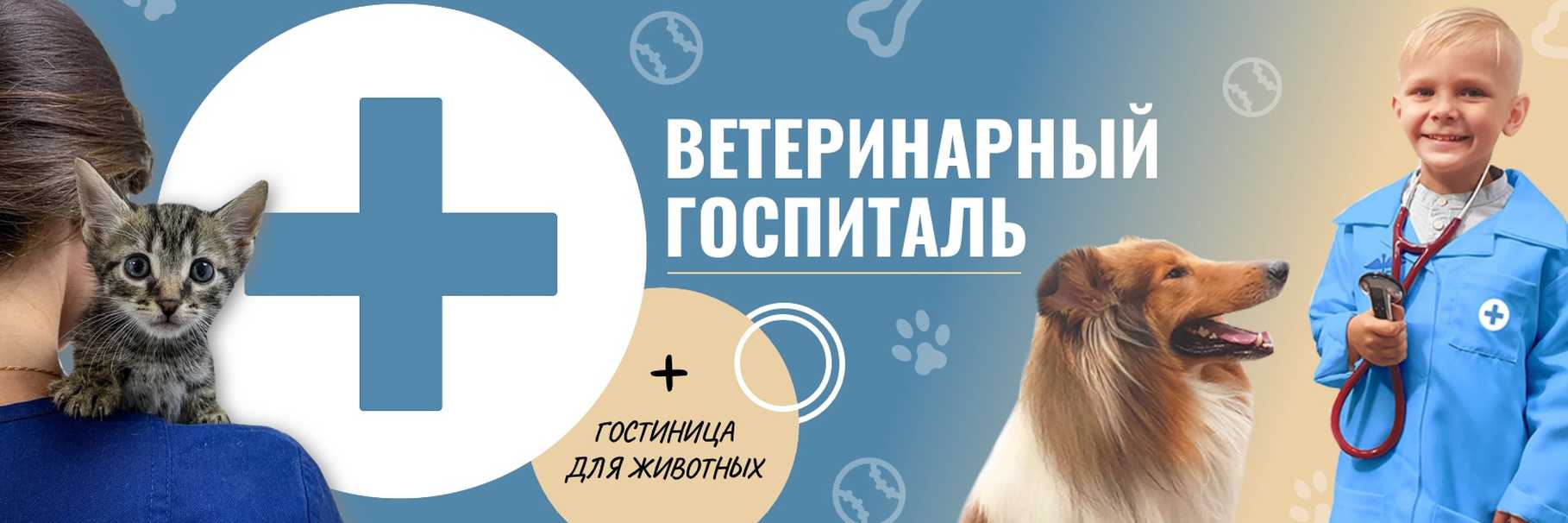 Почечная недостаточность у собак: симптомы, лечение, прогноз | блог ветклиники "беланта"