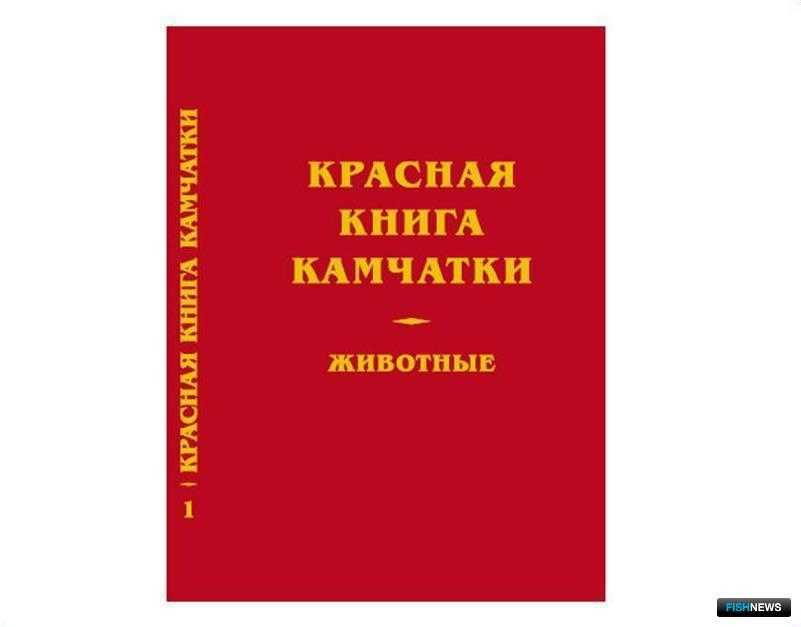 Подробно о живой природе камчатки. экологические туры по особо охранямым природным территориям камчатки с компанией "одиссей", наблюдения за животным миром в естественной среде обитания.