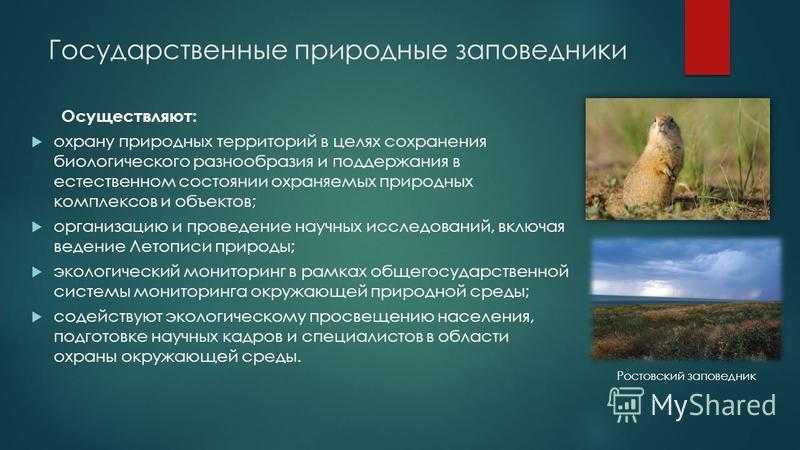 Значение национальных парков и заповедников для сохранения уникальной природы и редких видов