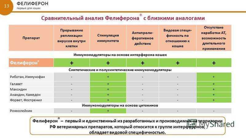 Противовоспалительные для собак: основные нестероидные препараты, капли, мази, уколы, таблетки, свечи, для суставов