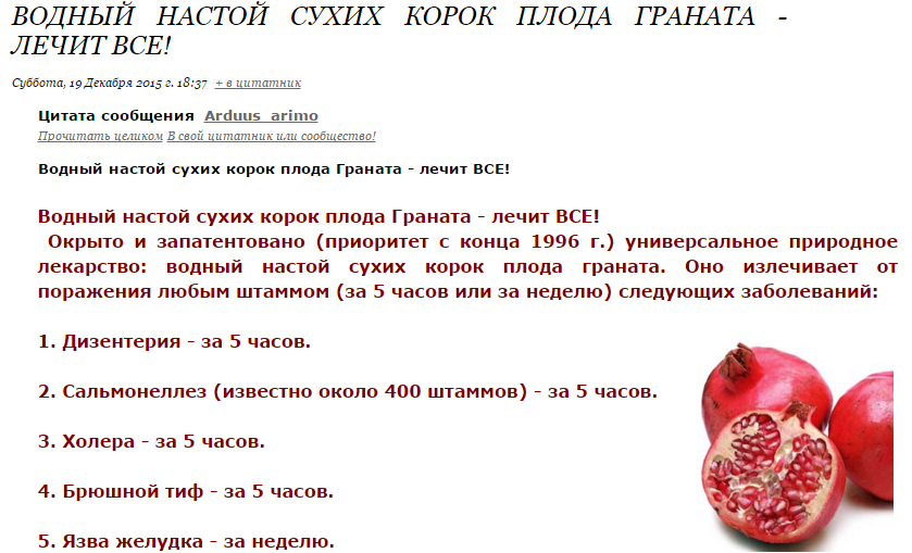 Какие фрукты можно давать собаке, а какие следует ограничить