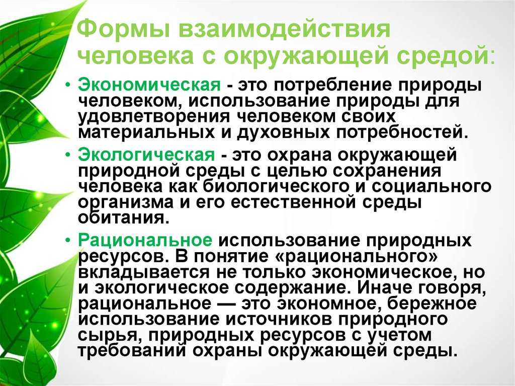 Влияние экологии на здоровье человека.