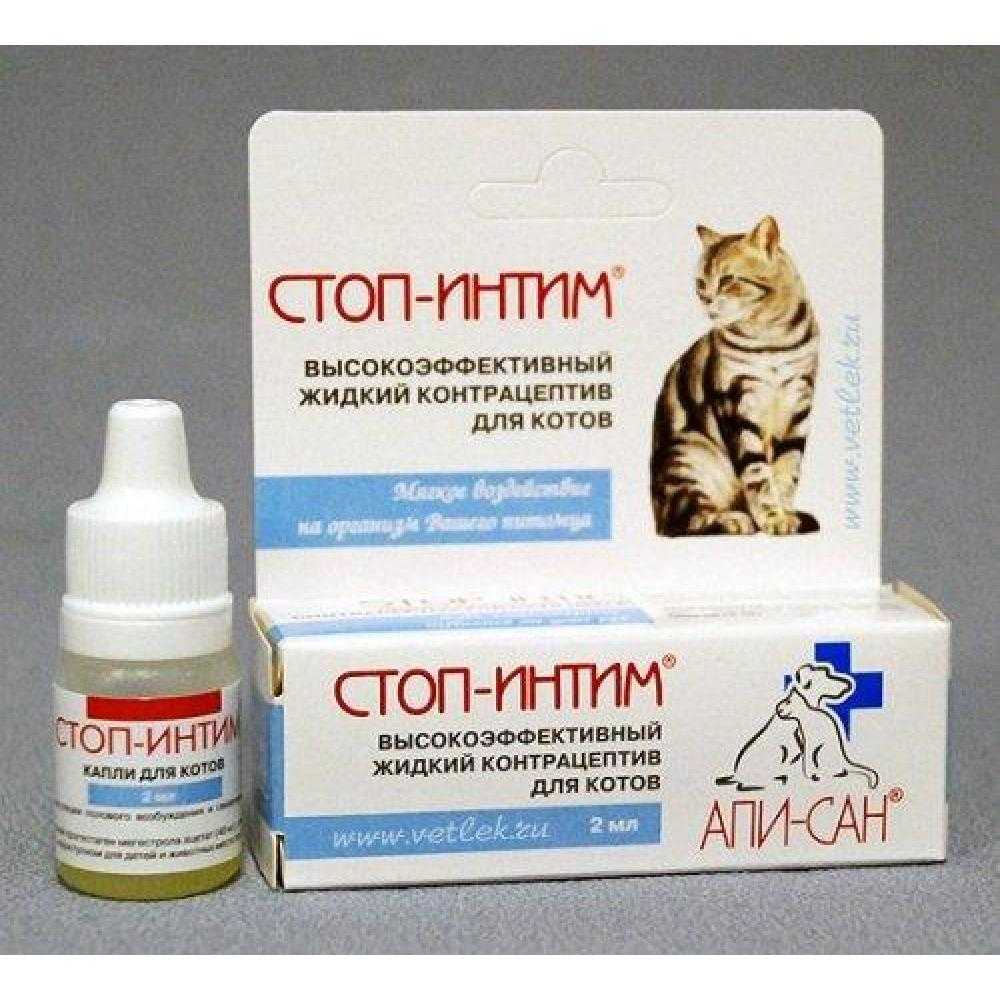 Депо-провера для кошек: дозировка, укол от гуляния