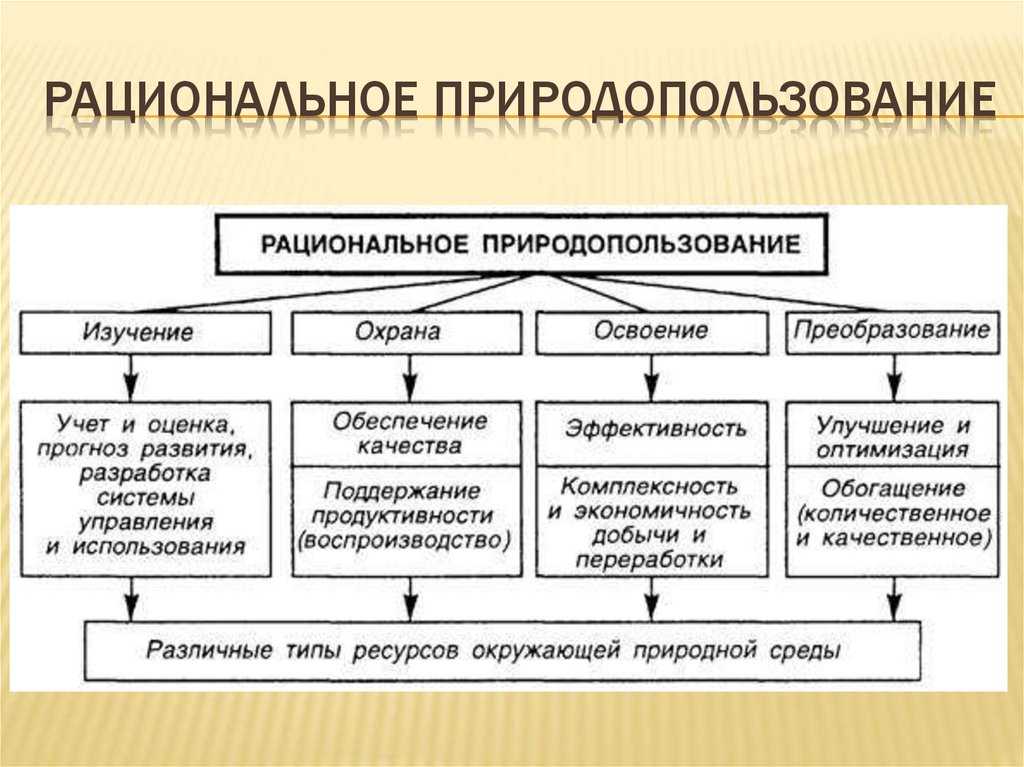 Охрана природы и перспективы рационального природопользования