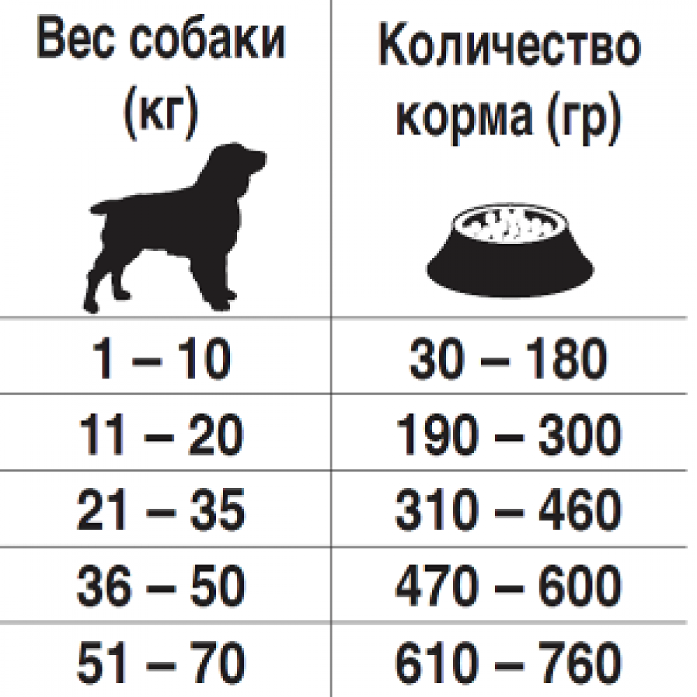 Как правильно кормить щенка хаски, рекомендации и рецепты