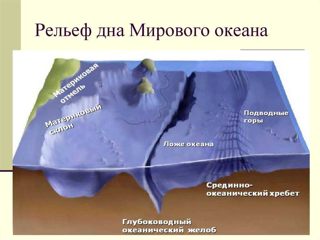 Геологическая деятельность океанов и морей