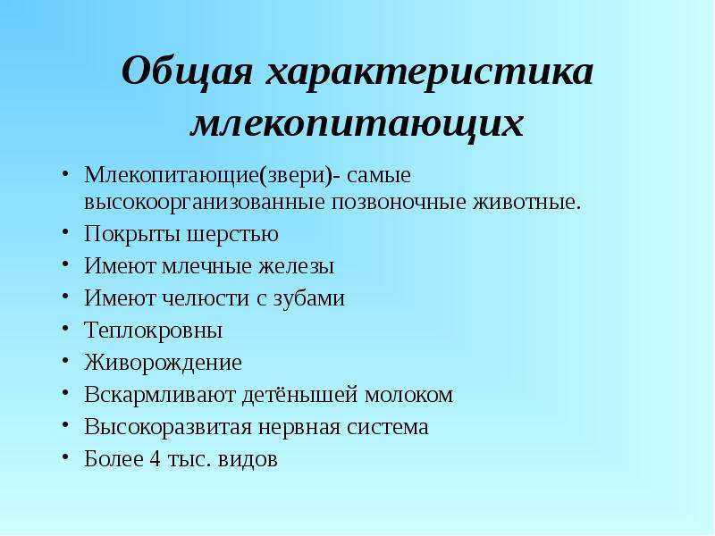 Млекопитающие: внешний вид, фото, особенности, интересные факты, среда обитания