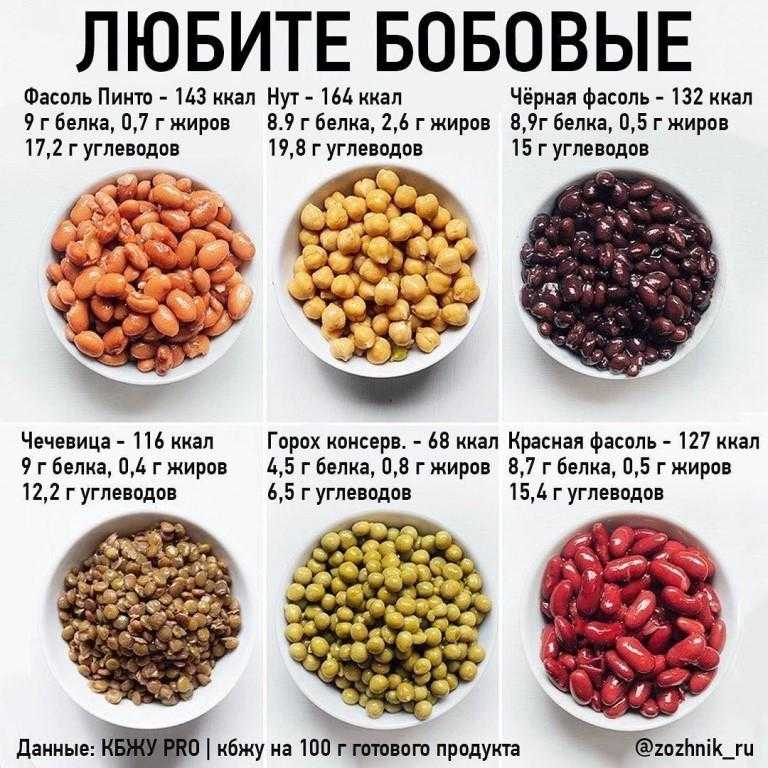 Овощи в рационе собаки
