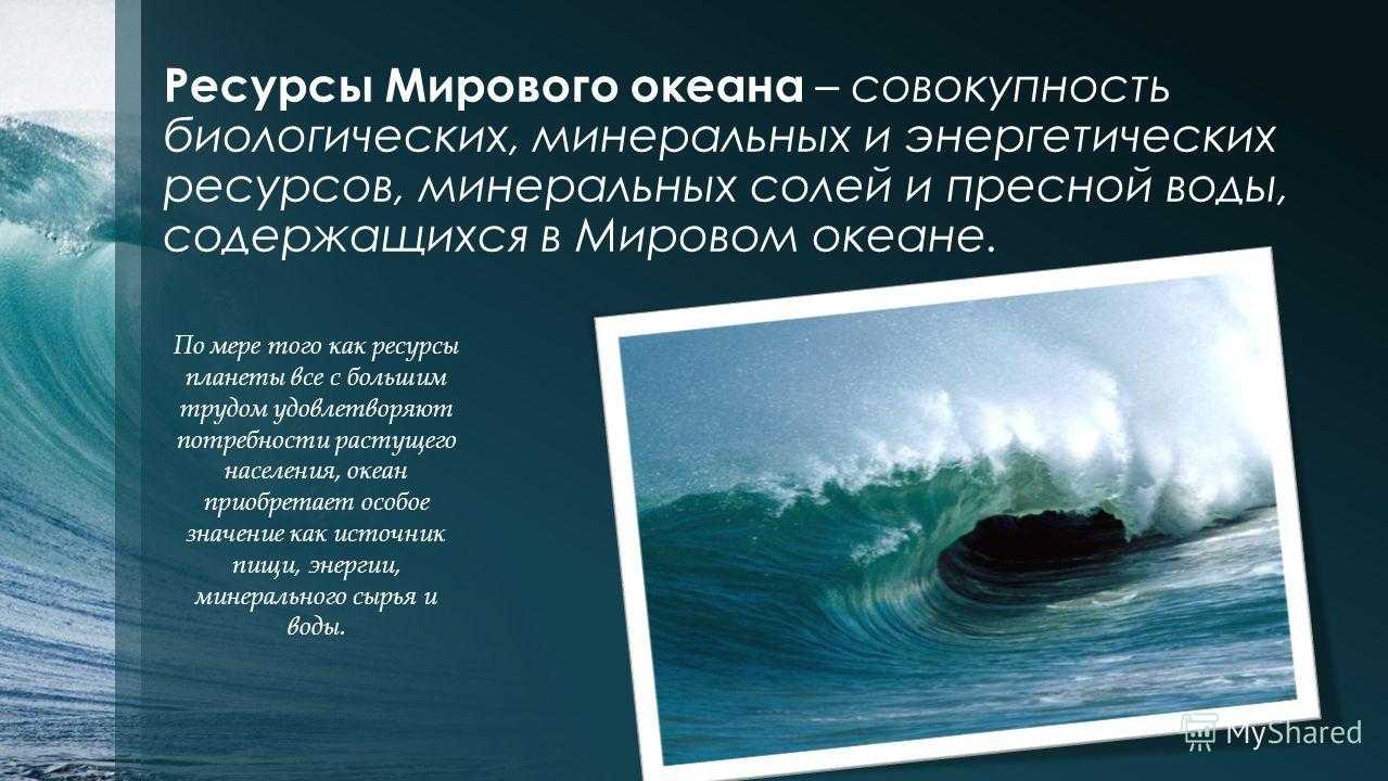 Что такое мировой океан: его части, свойства океанических вод