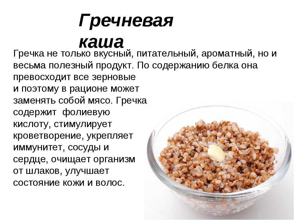 Как варить кашу для собак правильно — секреты приготовления крупы