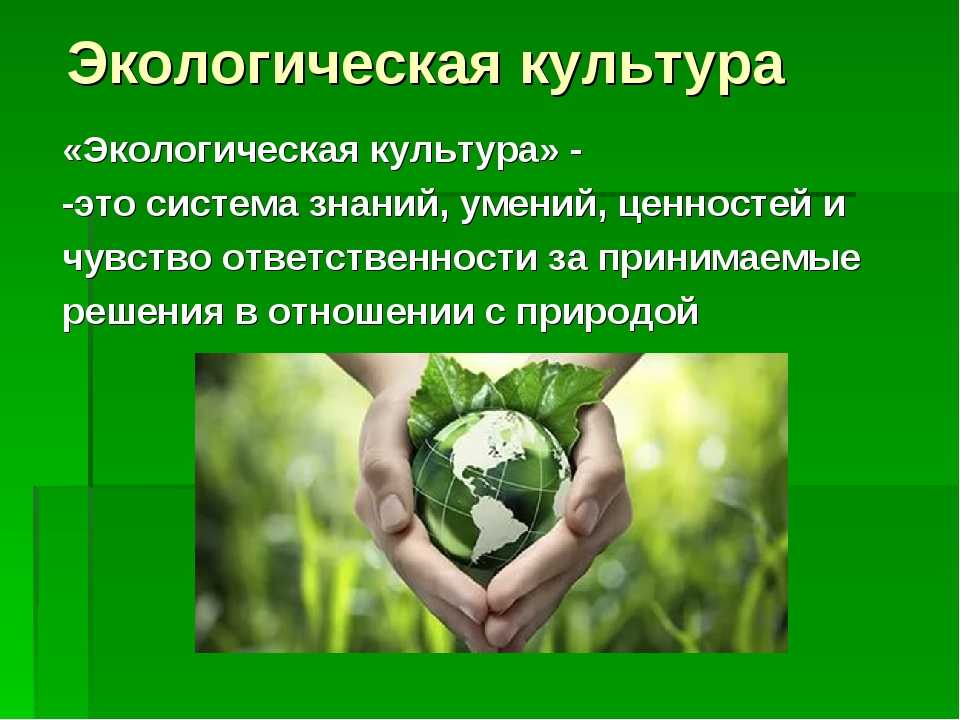 Презентация на тему: "1 производство социум техногенные и социальные риски современной цивилизации в.м. жуковский человечество биосфера.". скачать бесплатно и без регистрации.