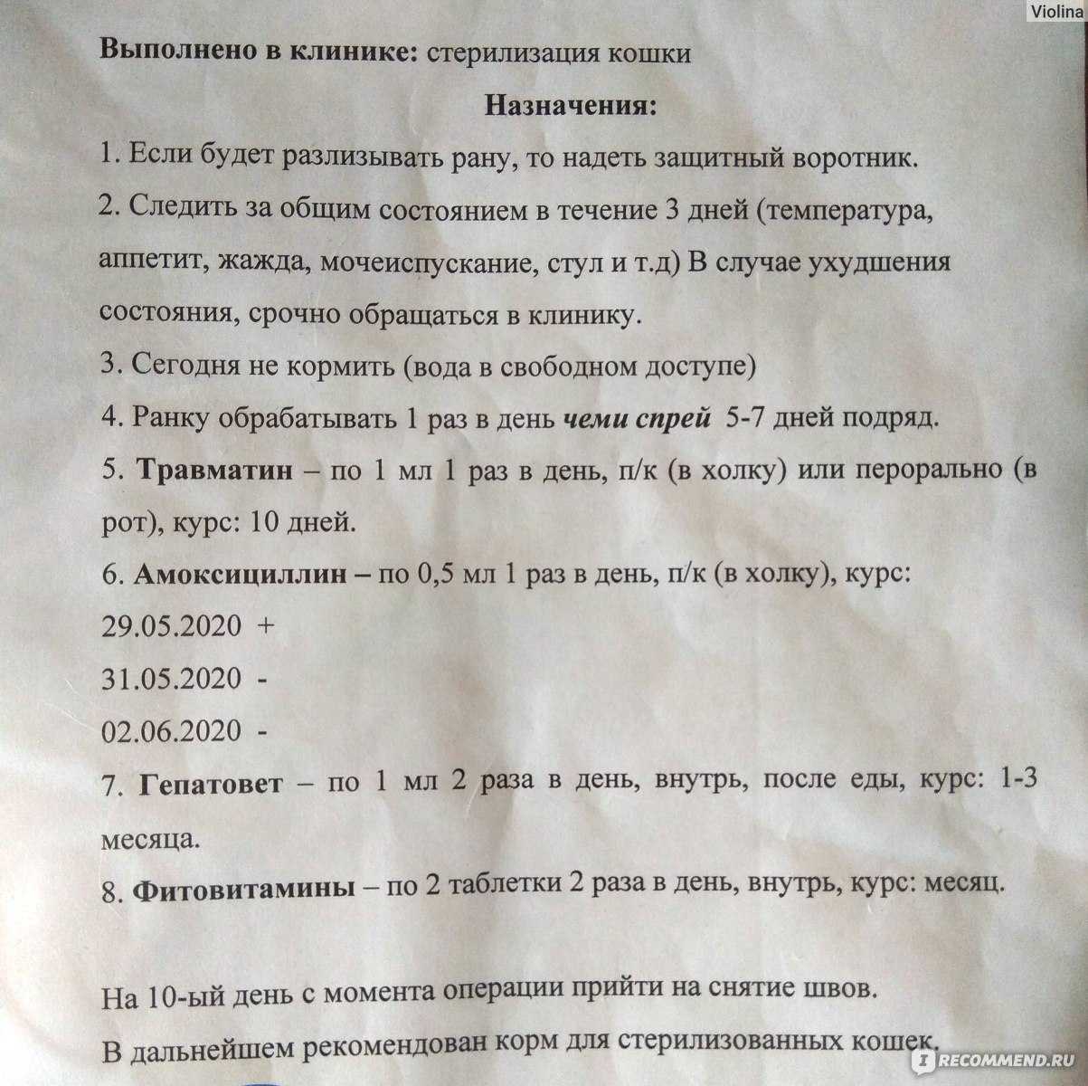 Как влияет кастрация на котов: здоровье, характер, поведение | звери дома