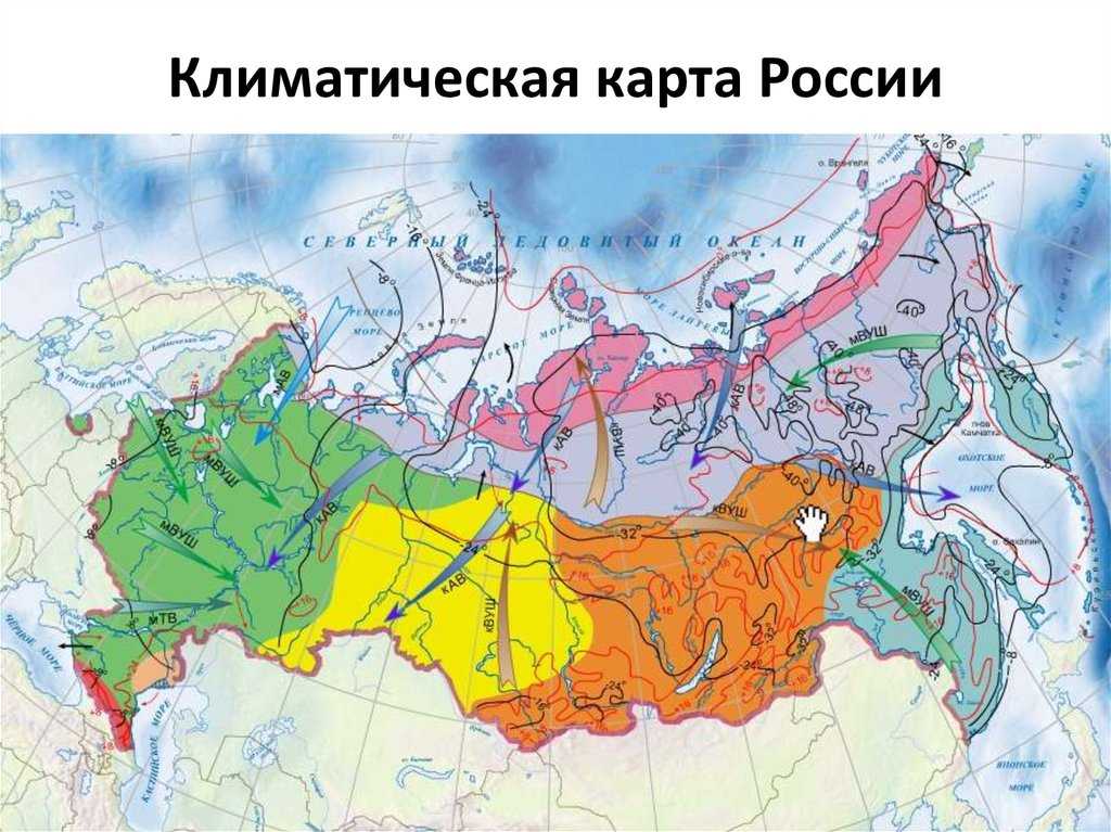 Умеренно континентальный климат. характеристики и особенности