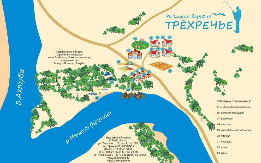 Пятится на 10 ногах и жует 10 челюстями: как живется в беларуси речному раку? | смартпресс: зоо