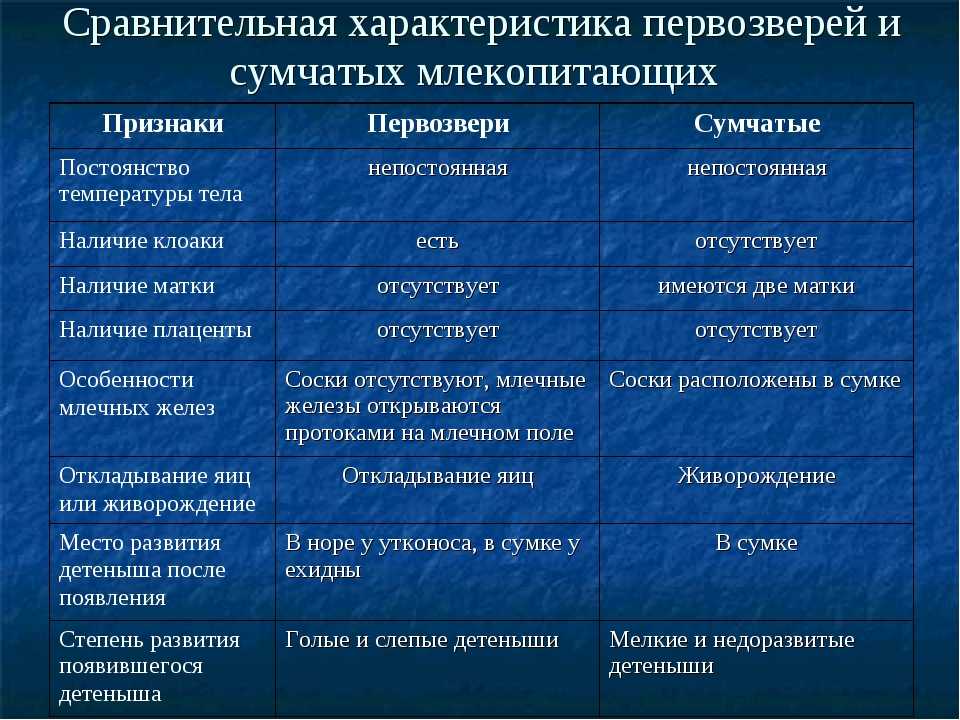 Однопроходные млекопитающие