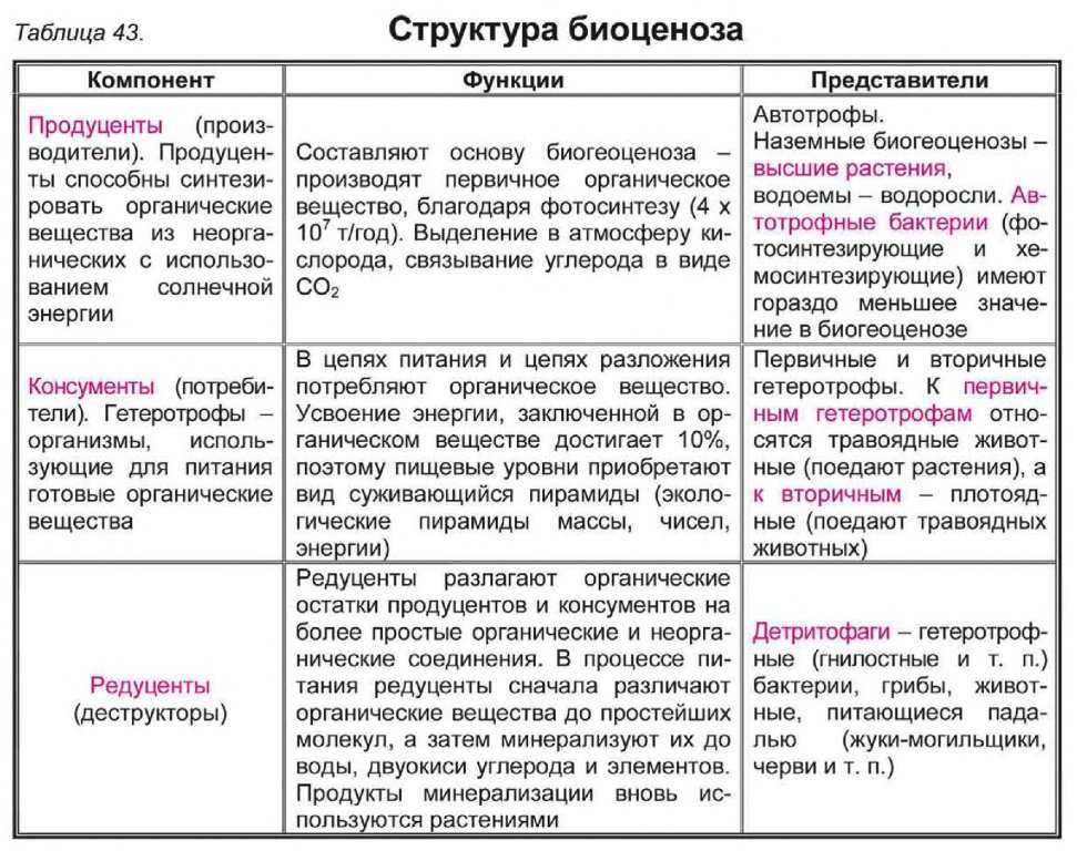 Экосистема леса — характеристика, структура и типы