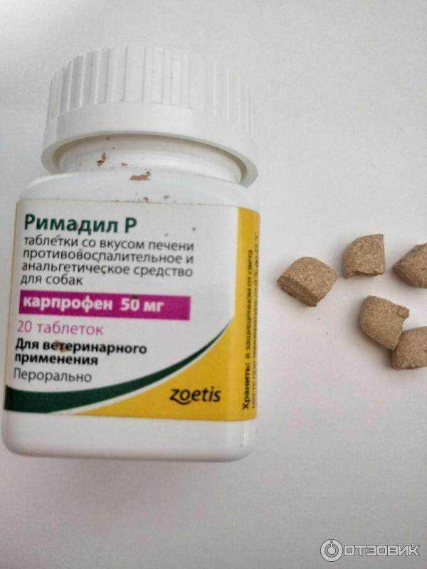 Основное, что вам нужно знать про цималджекс для собак